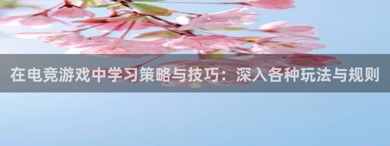 沐鸣注册账号怎么注册：在电竞游戏中学习策略与技巧：深入各种玩
