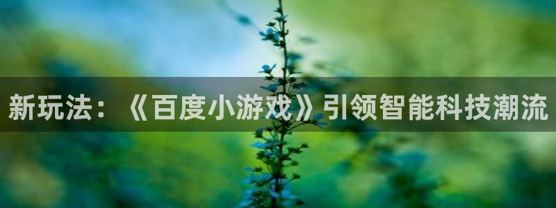 沐鸣娱乐登录地址是什么：新玩法：《百度小游戏》引领智能科技潮