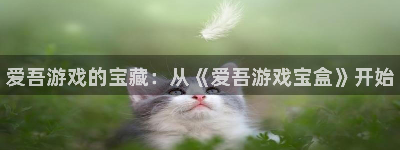 沐鸣线路检测：爱吾游戏的宝藏：从《爱吾游戏宝盒》开始