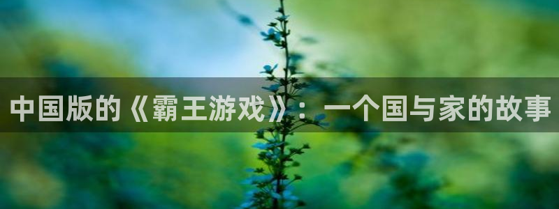 沐鸣注册：中国版的《霸王游戏》：一个国与家的故事