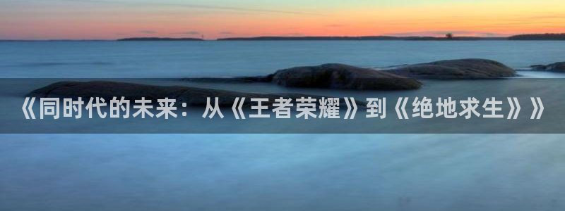 沐鸣网址注册：《同时代的未来：从《王者荣耀》到《绝地求生》》