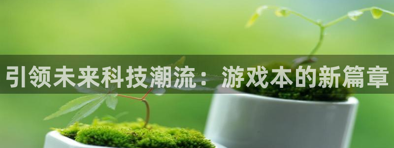 沐鸣官网：引领未来科技潮流：游戏本的新篇章