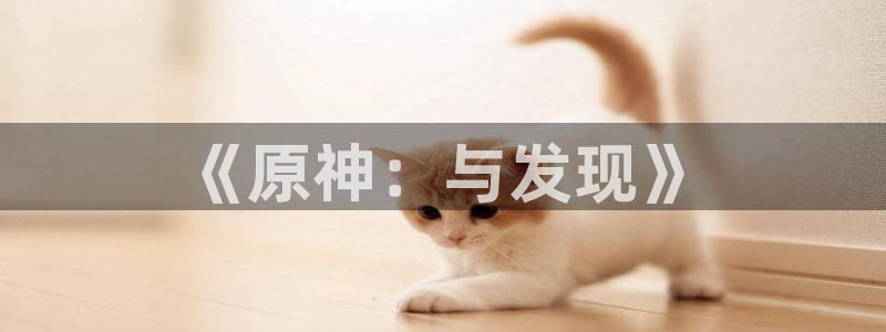 沐鸣主管：《原神：与发现》