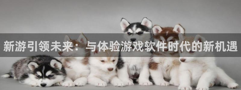 沐鸣平台官方网站：新游引领未来：与体验游戏软件时代的新机遇