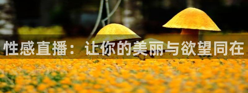 看球吧jrs低调直播：性感直播：让你的美丽与欲望同在