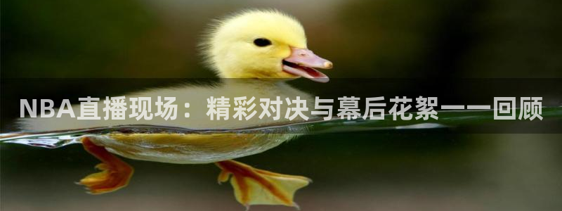 直播看球吧：NBA直播现场：精彩对决与幕后花絮一一回顾
