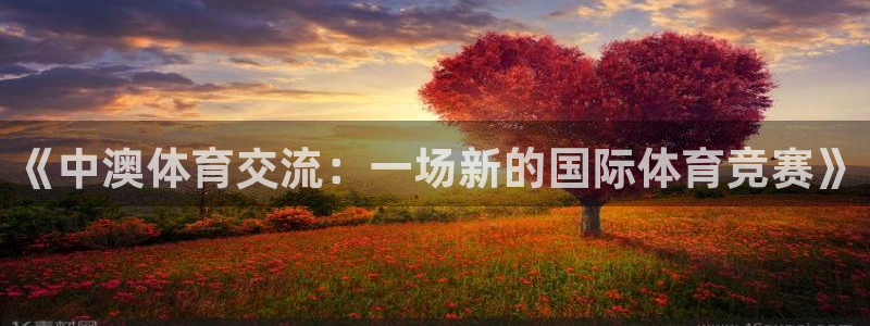 看球吧直播官网：《中澳体育交流：一场新的国际体育竞赛》