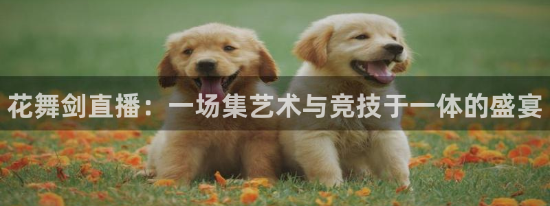 看球吧jrs直播：花舞剑直播：一场集艺术与竞技于一体的盛宴