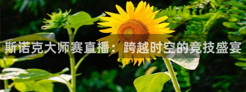 零点直播吧看球吧：斯诺克大师赛直播：跨越时空的竞技盛宴