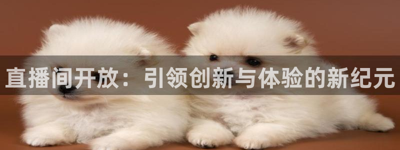 88看球吧直播：直播间开放：引领创新与体验的新纪元
