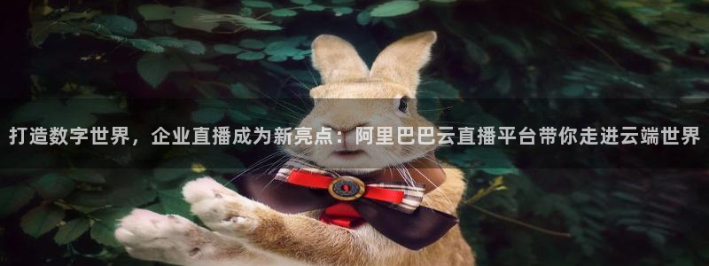 看球吧nba免费直播：打造数字世界，企业直播成为新亮点：阿里巴巴云直播平台带你走进云端世界